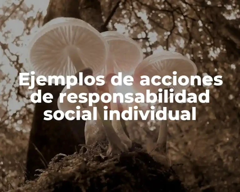 Ejemplos de acciones de responsabilidad social individual