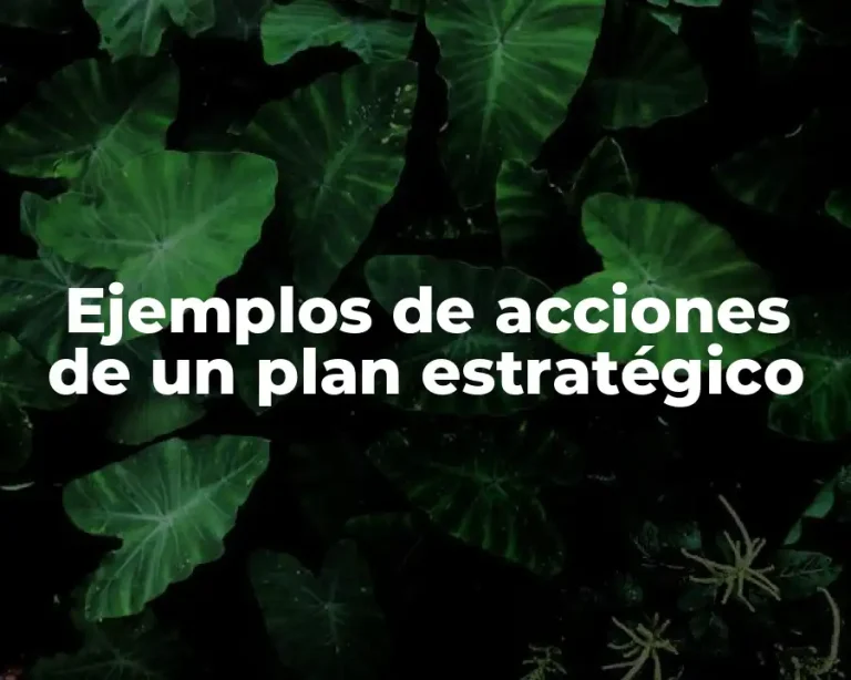 Ejemplos de acciones de un plan estratégico