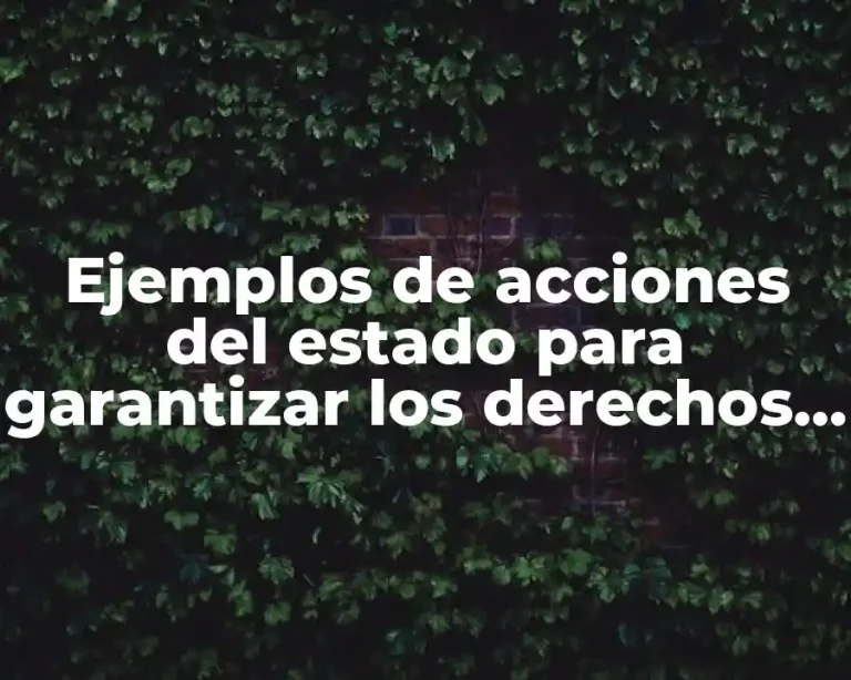 Ejemplos de acciones del estado para garantizar los derechos humanos