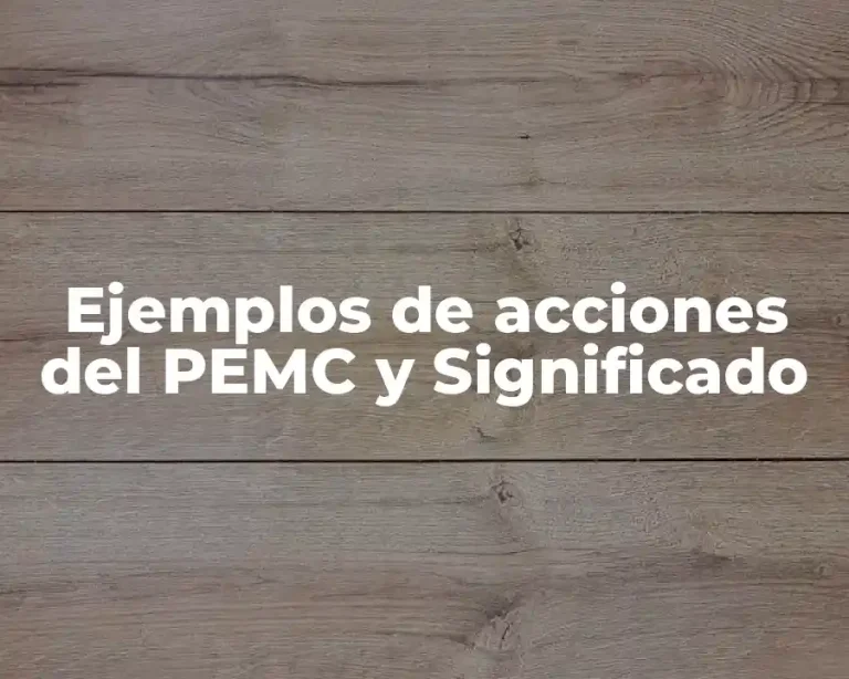 Ejemplos de acciones del PEMC y Significado