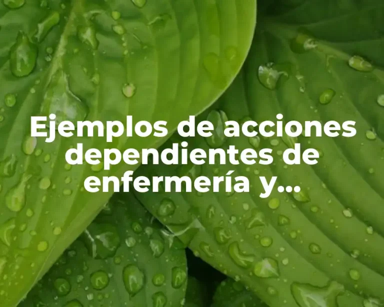 Ejemplos de acciones dependientes de enfermería y Significado