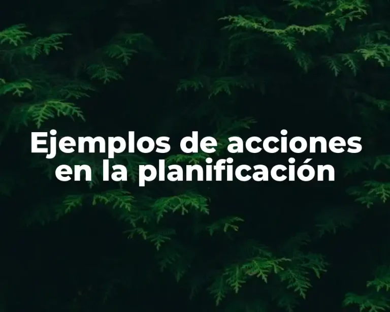 Ejemplos de acciones en la planificación