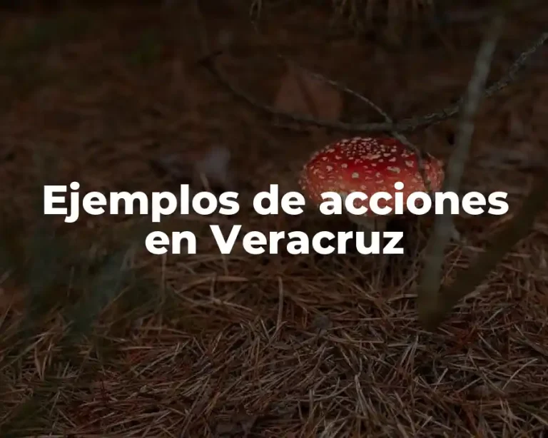 Ejemplos de acciones en Veracruz