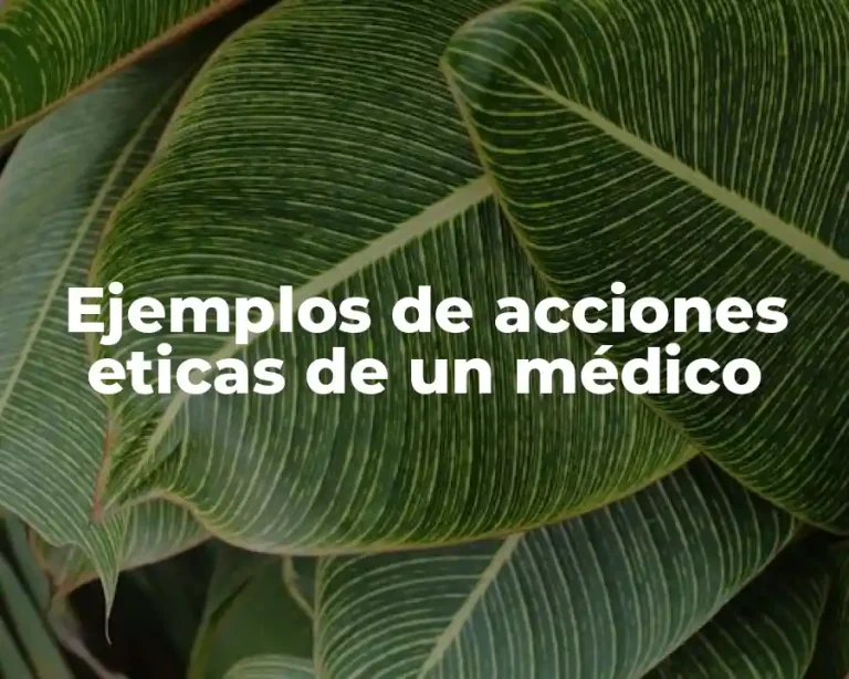 Ejemplos de acciones eticas de un médico