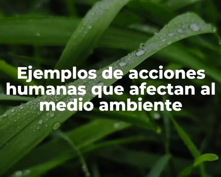 Ejemplos de acciones humanas que afectan al medio ambiente