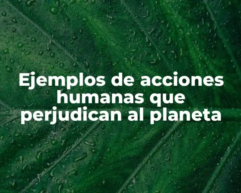 Ejemplos de acciones humanas que perjudican al planeta