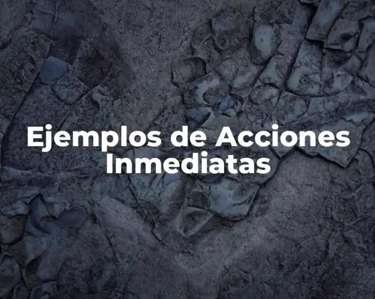 Ejemplos de Acciones Inmediatas