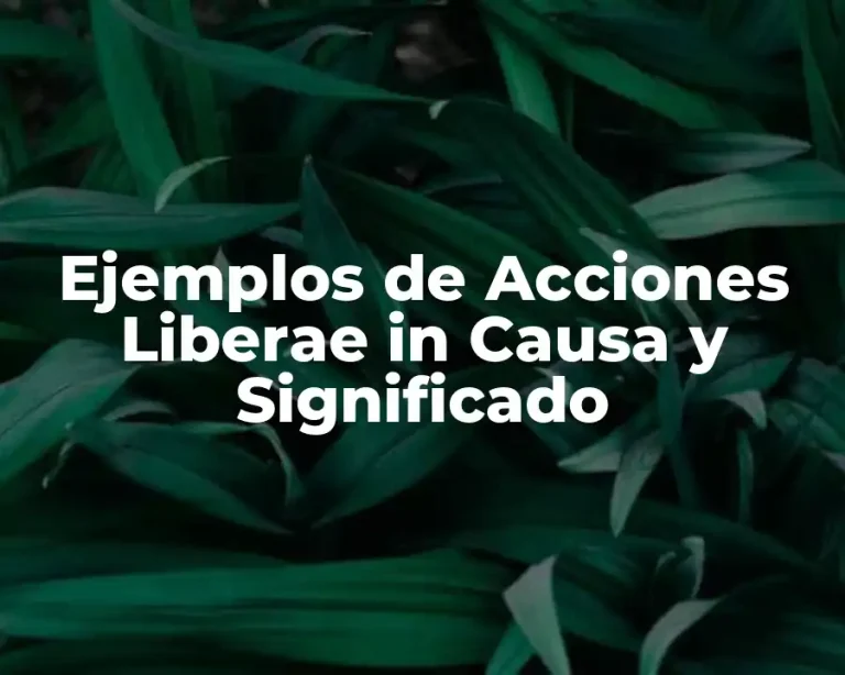 Ejemplos de Acciones Liberae in Causa y Significado