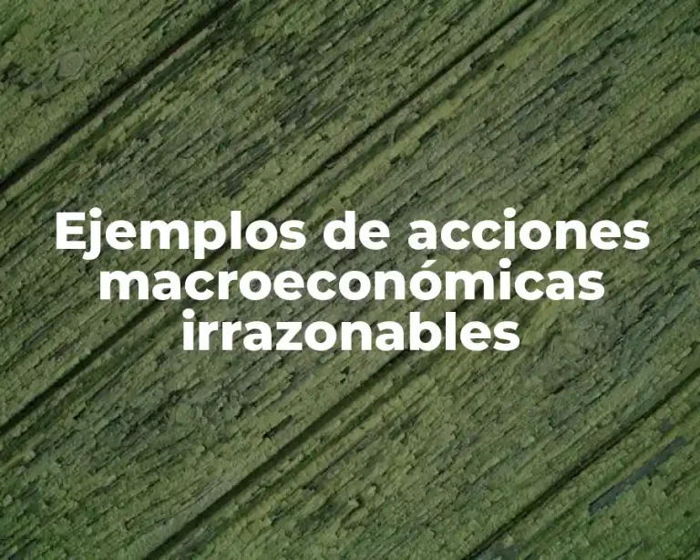 Ejemplos de acciones macroeconómicas irrazonables