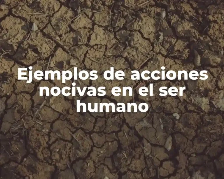 Ejemplos de acciones nocivas en el ser humano