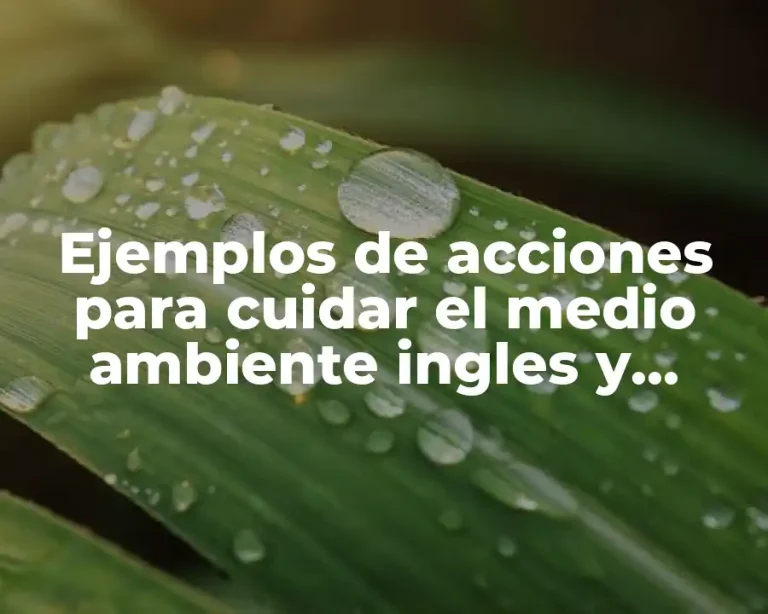 Ejemplos de acciones para cuidar el medio ambiente ingles y español