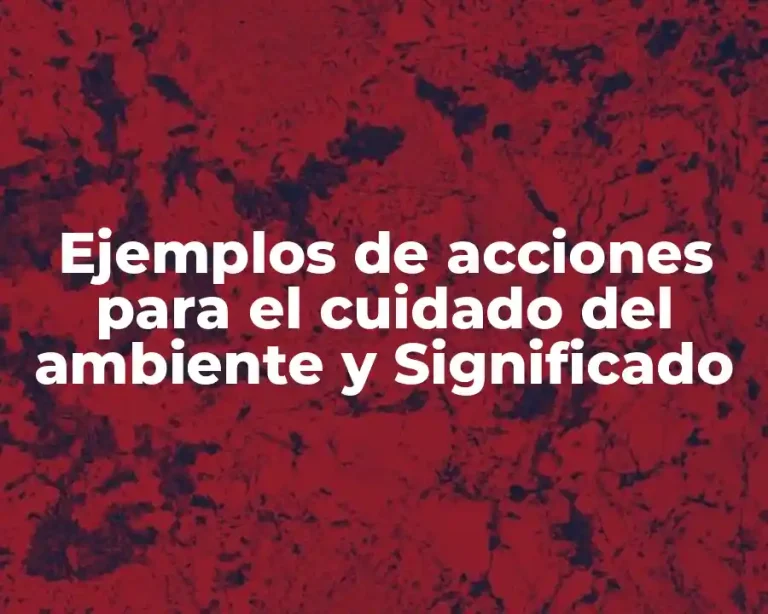 Ejemplos de acciones para el cuidado del ambiente y Significado