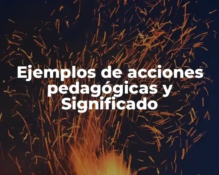 Ejemplos de acciones pedagógicas y Significado