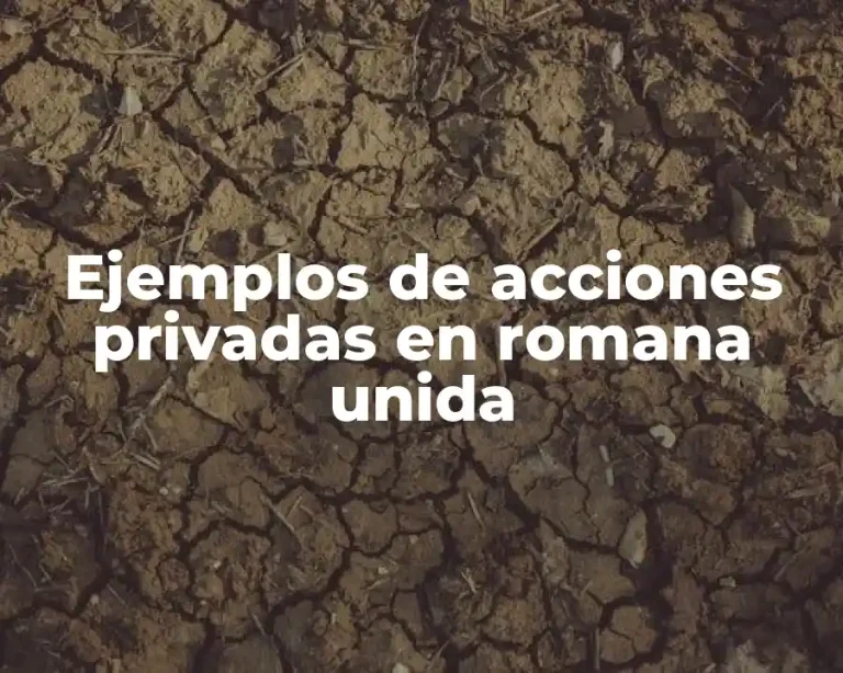 Ejemplos de acciones privadas en romana unida