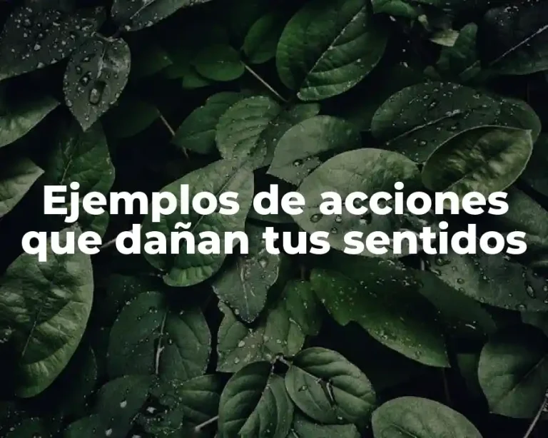 Ejemplos de acciones que dañan tus sentidos