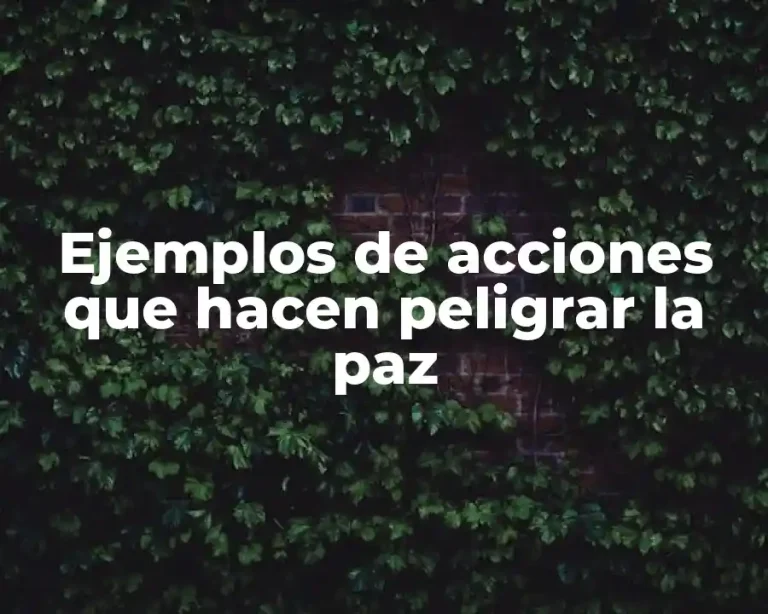 Ejemplos de acciones que hacen peligrar la paz