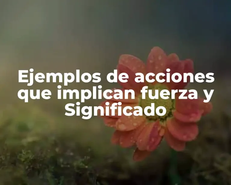 Ejemplos de acciones que implican fuerza y Significado