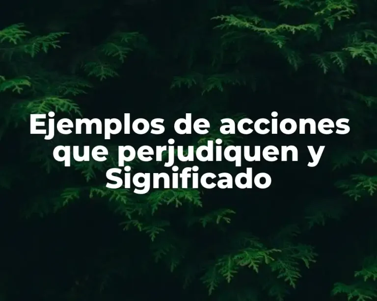 Ejemplos de acciones que perjudiquen y Significado
