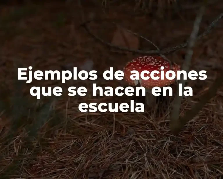 Ejemplos de acciones que se hacen en la escuela