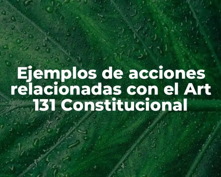 Ejemplos de acciones relacionadas con el Art 131 Constitucional