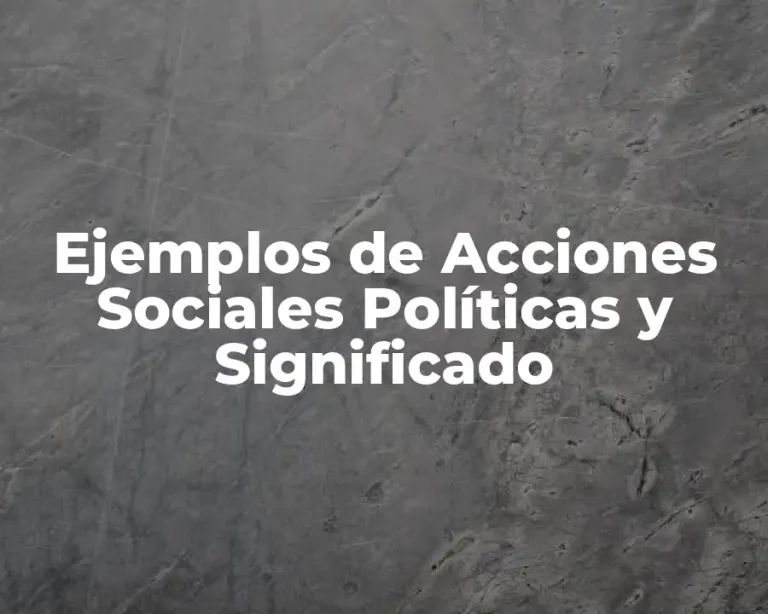 Ejemplos de Acciones Sociales Políticas y Significado