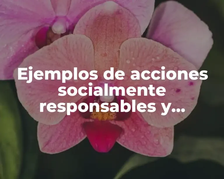 Ejemplos de acciones socialmente responsables y Significado