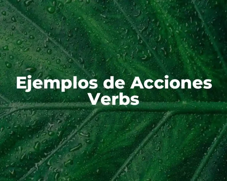 Ejemplos de Acciones Verbs