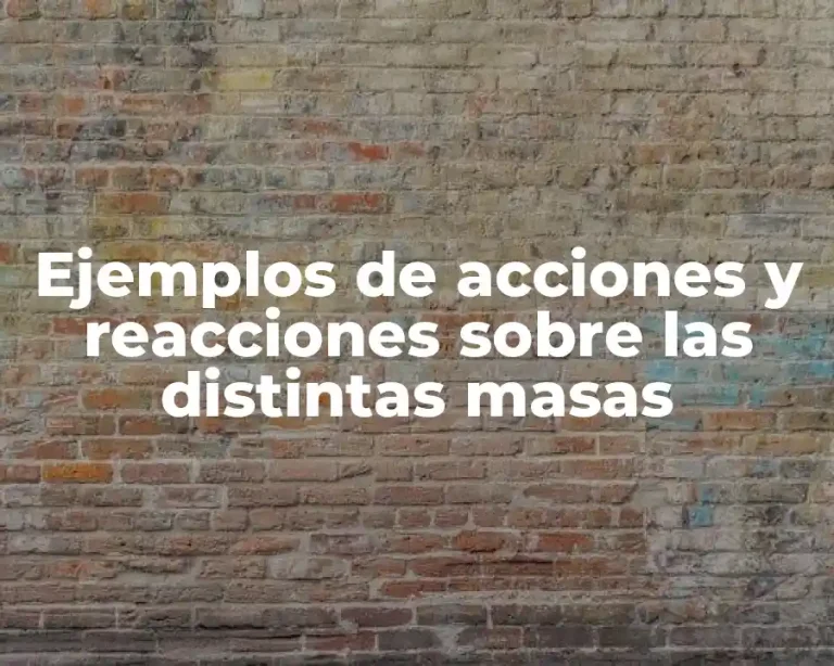 Ejemplos de acciones y reacciones sobre las distintas masas