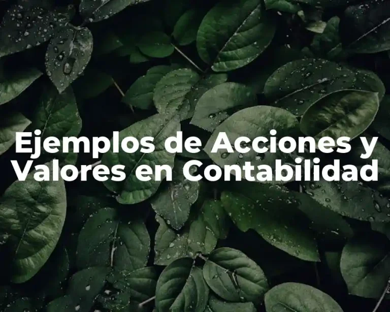 Ejemplos de Acciones y Valores en Contabilidad