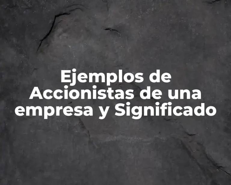 Ejemplos de Accionistas de una empresa y Significado