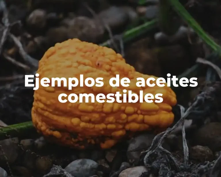 Ejemplos de aceites comestibles