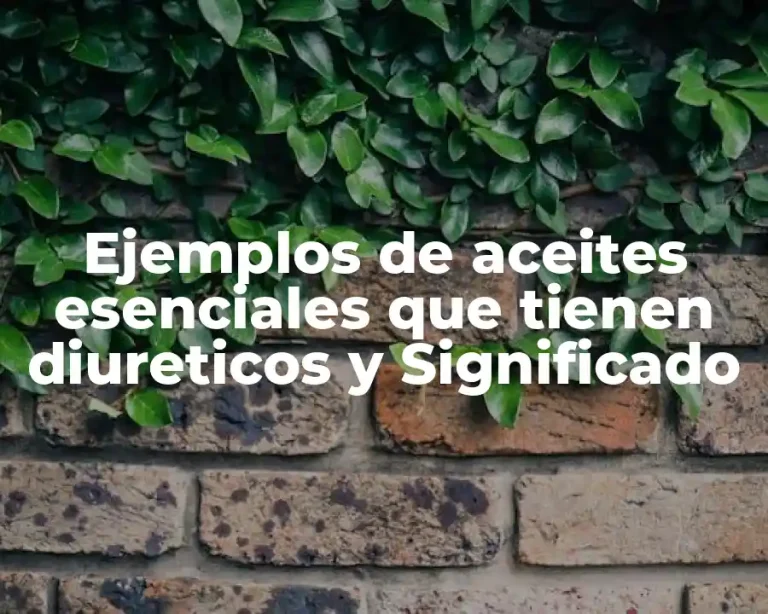 Ejemplos de aceites esenciales que tienen diureticos y Significado