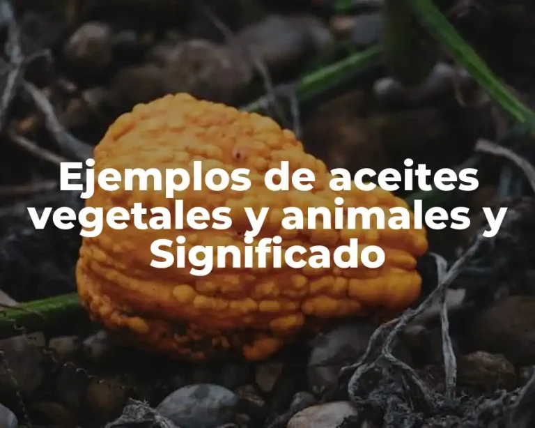 Ejemplos de aceites vegetales y animales y Significado