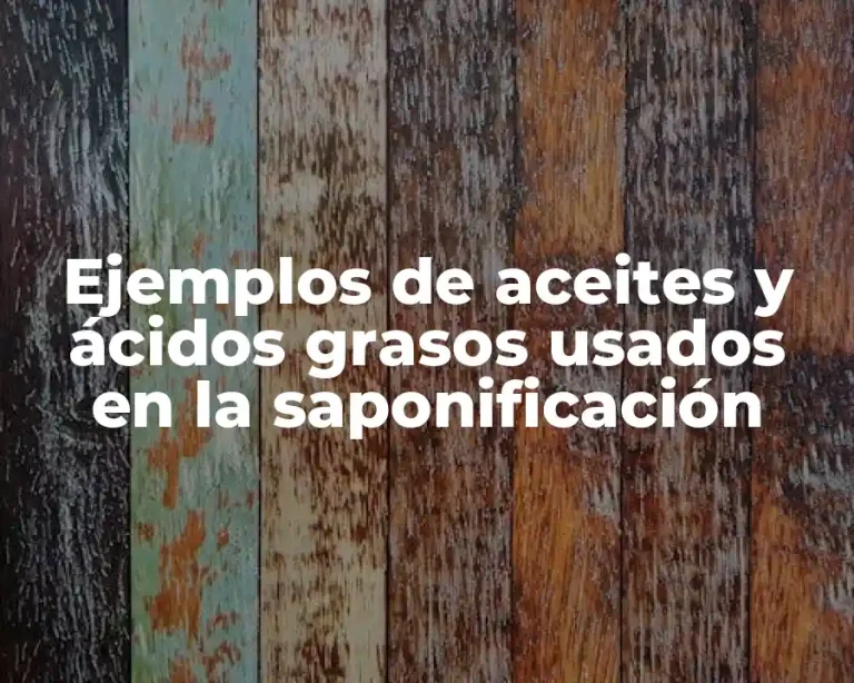Ejemplos de aceites y ácidos grasos usados en la saponificación