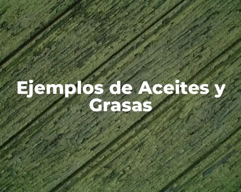 Ejemplos de Aceites y Grasas