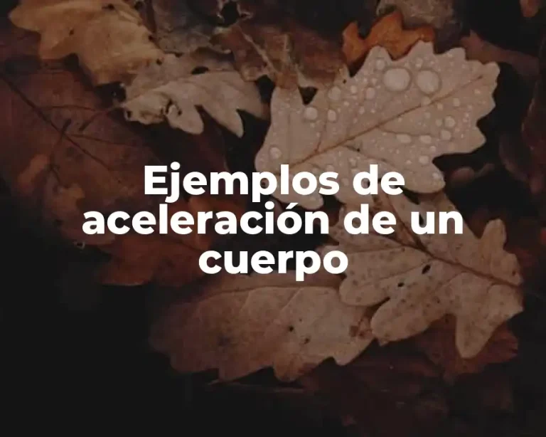 Ejemplos de aceleración de un cuerpo