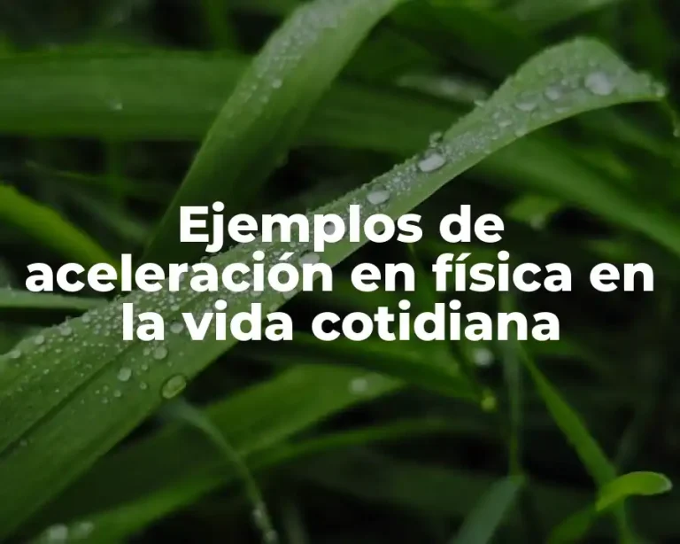 Ejemplos de aceleración en física en la vida cotidiana