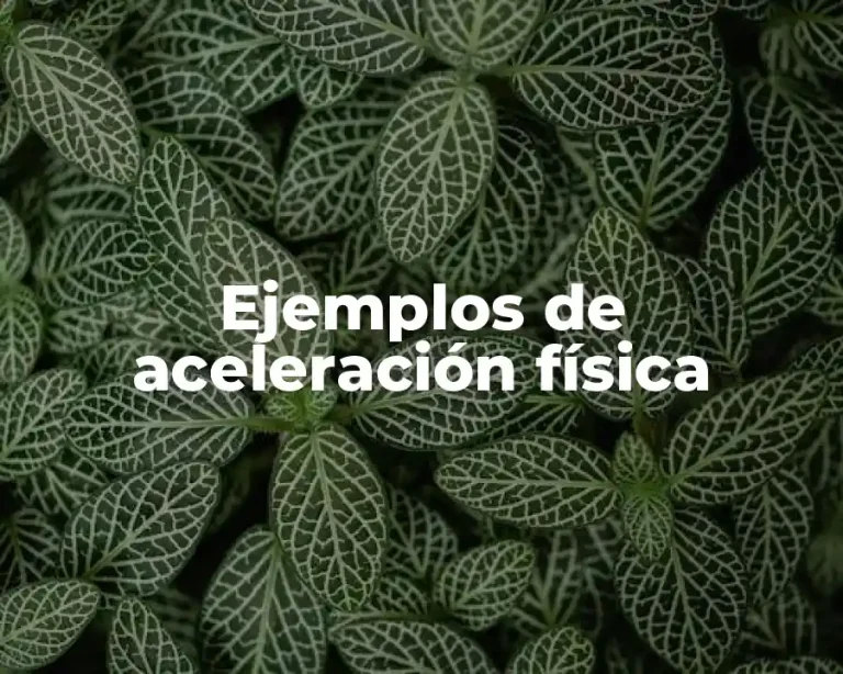Ejemplos de aceleración física