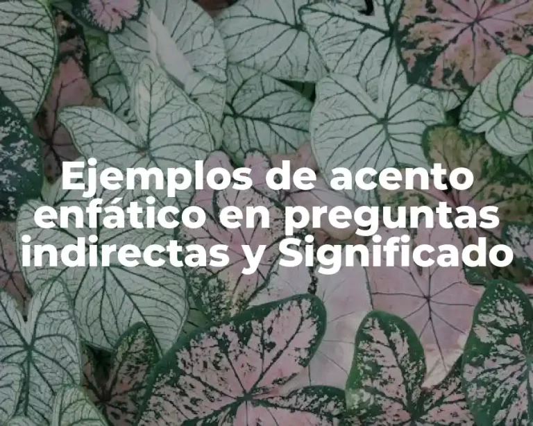 Ejemplos de acento enfático en preguntas indirectas y Significado
