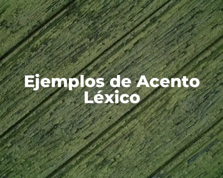 Ejemplos de Acento Léxico