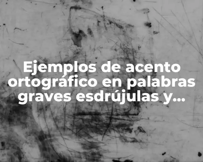 Ejemplos de acento ortográfico en palabras graves esdrújulas y Significado