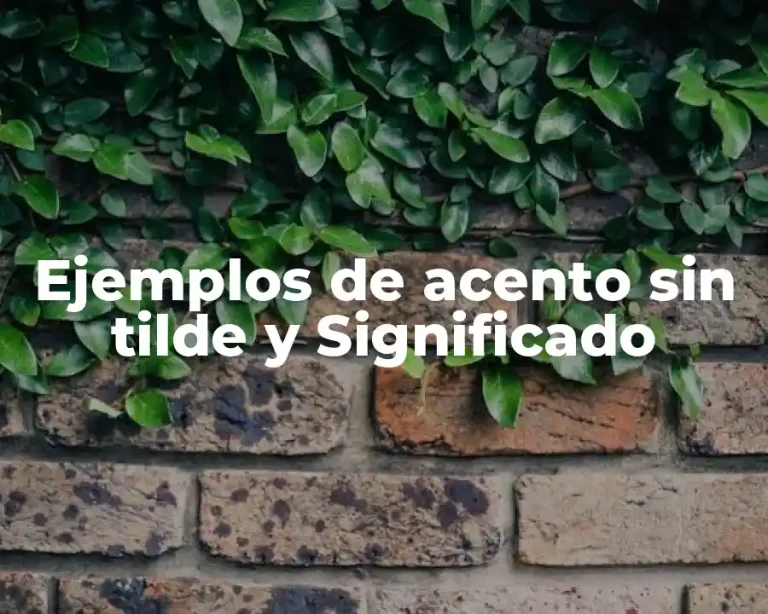 Ejemplos de acento sin tilde y Significado