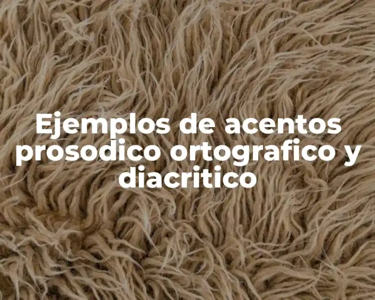 Ejemplos de acentos prosodico ortografico y diacritico