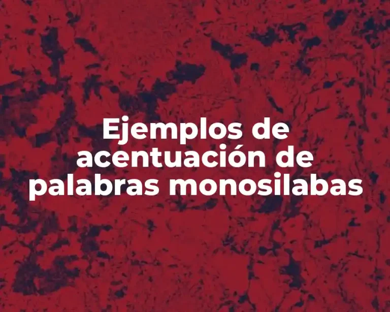 Ejemplos de acentuación de palabras monosilabas