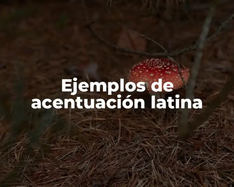 Ejemplos de acentuación latina