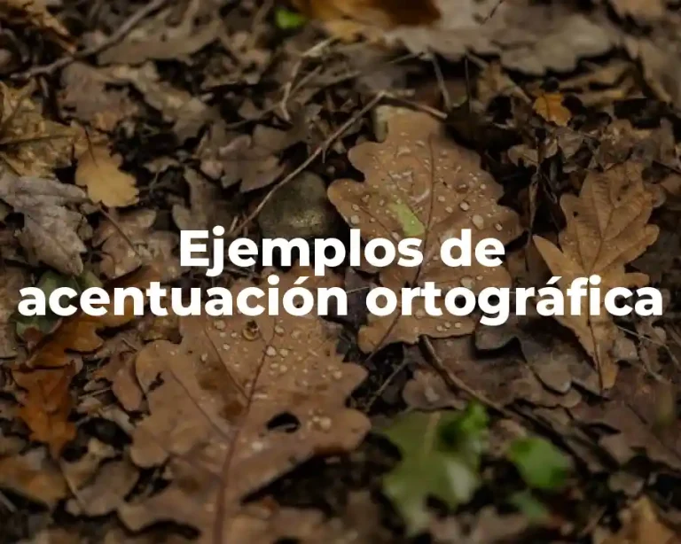 Ejemplos de acentuación ortográfica