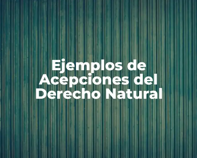 Ejemplos de Acepciones del Derecho Natural