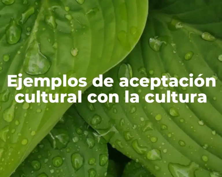 Ejemplos de aceptación cultural con la cultura