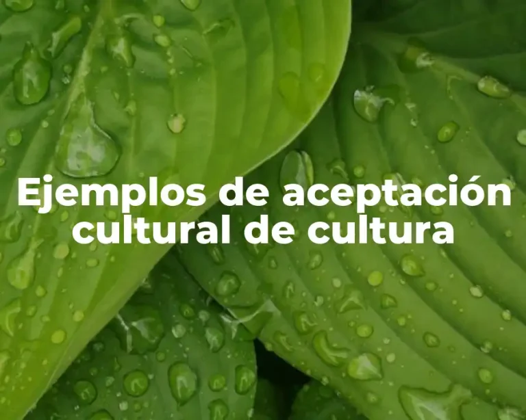 Ejemplos de aceptación cultural de cultura