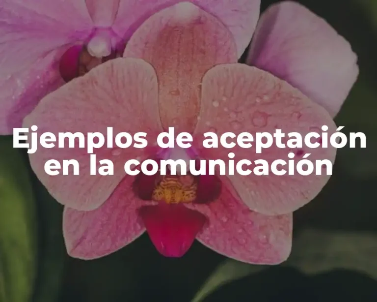 Ejemplos de aceptación en la comunicación